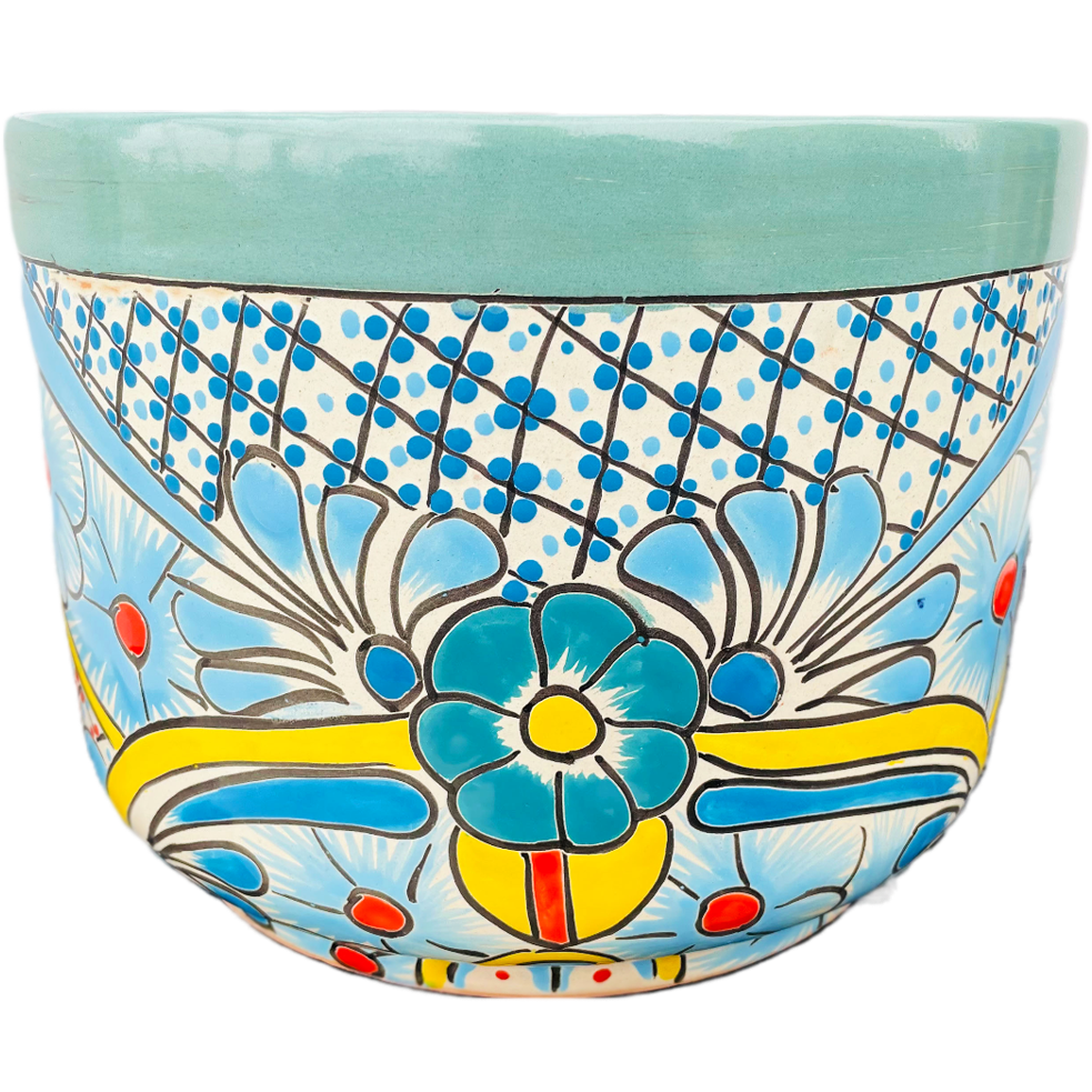 New Chihuahua Pot