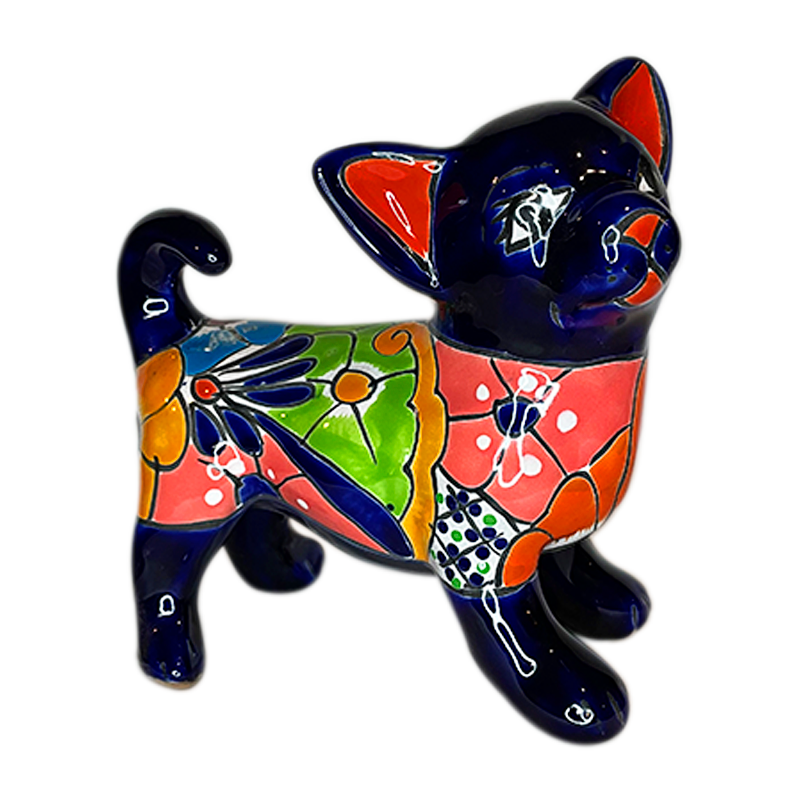 Standing Chihuahua dog