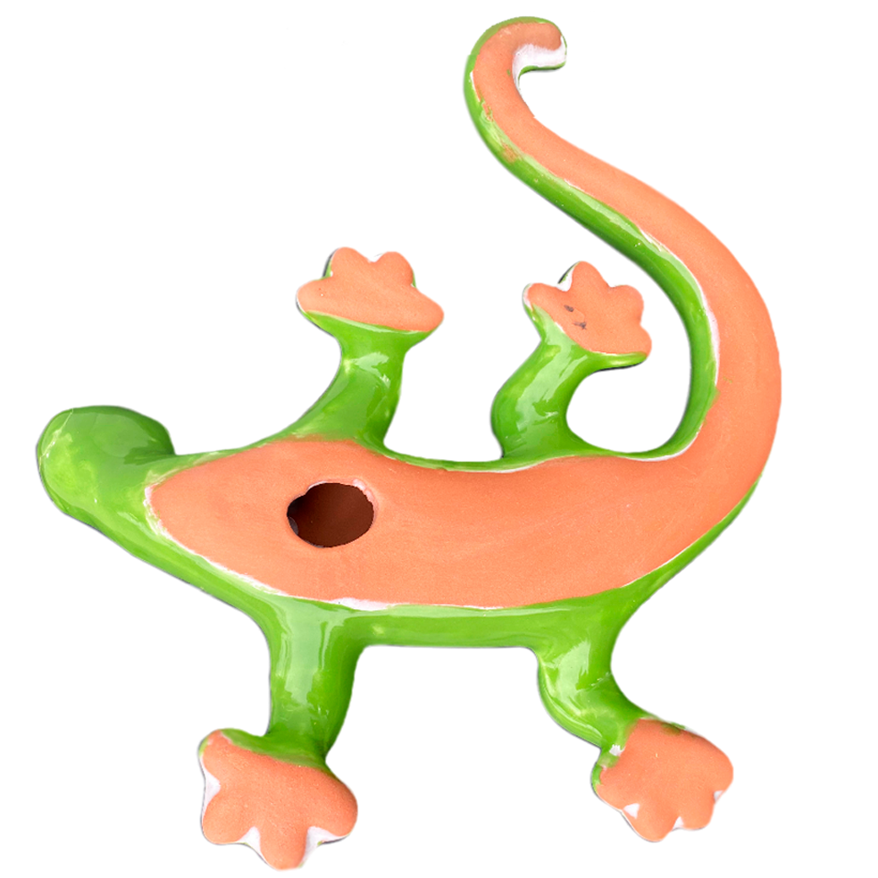 Salamander